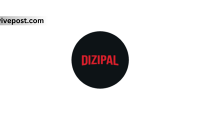 Dizipal 617