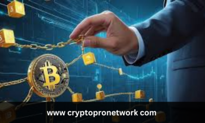 www cryptopronetwork com